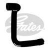 GATES 3964 Radiator Hose